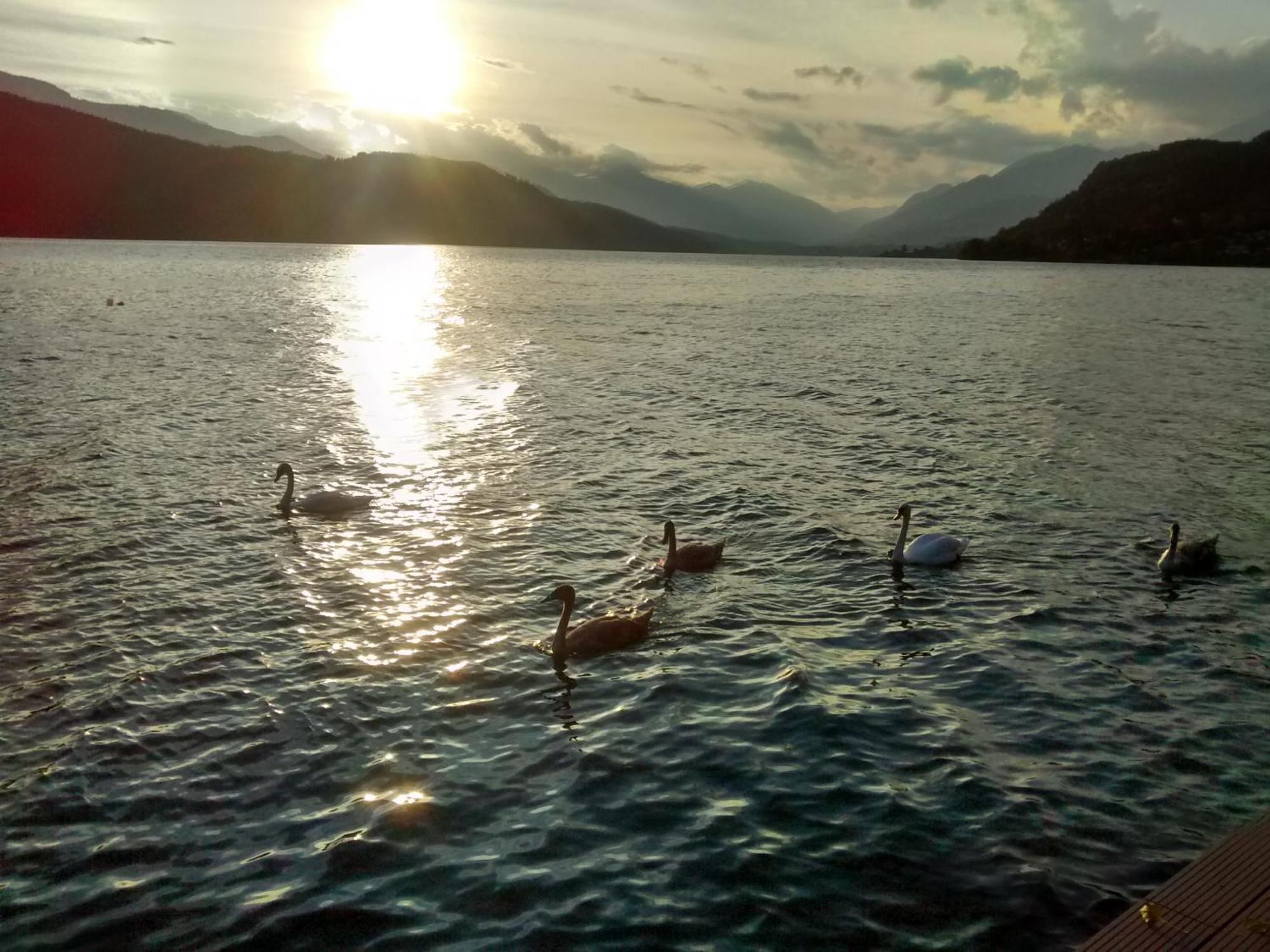 Ferienwohnungen Fischerhaus - Direkt Am See มิลชตัทท์ ภายนอก รูปภาพ