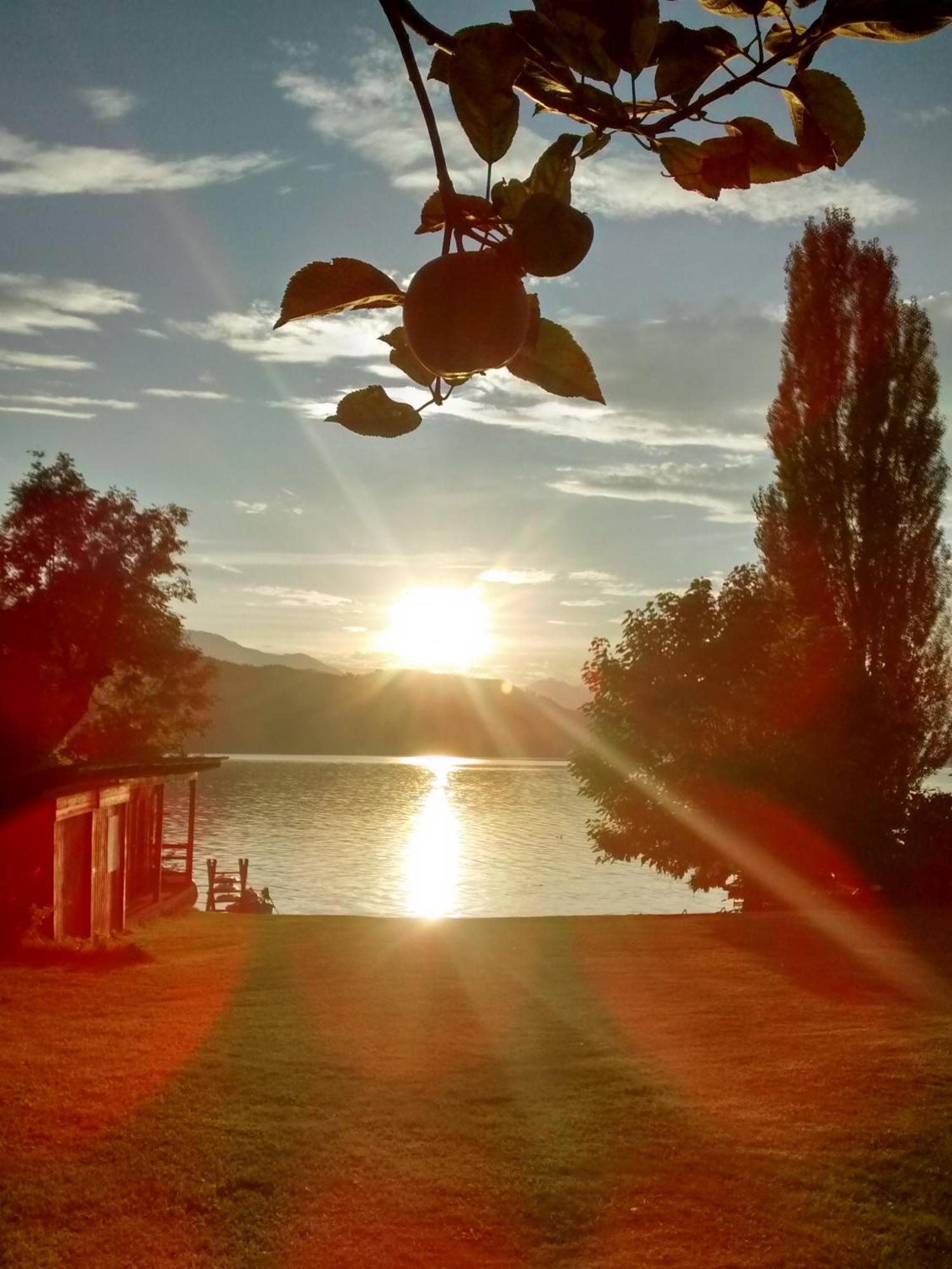 Ferienwohnungen Fischerhaus - Direkt Am See มิลชตัทท์ ภายนอก รูปภาพ