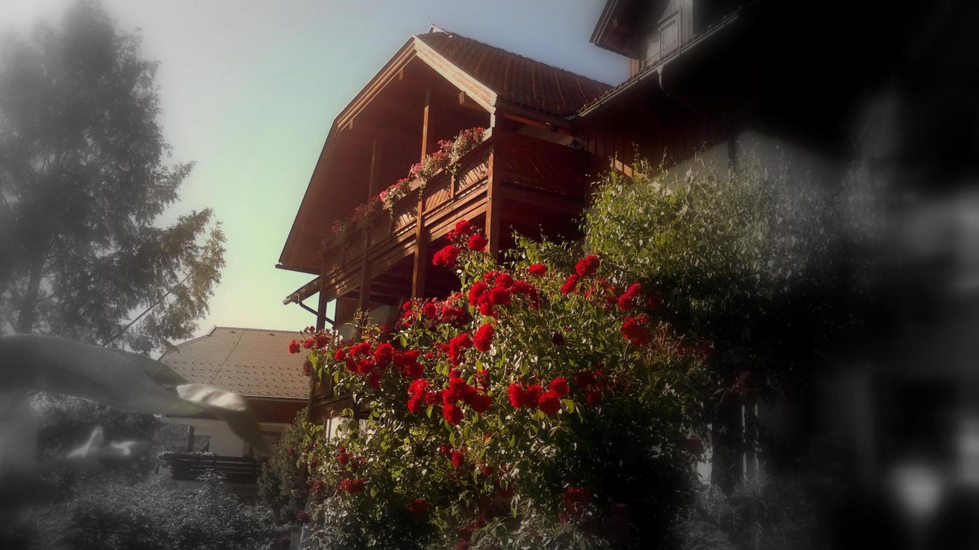 Ferienwohnungen Fischerhaus - Direkt Am See มิลชตัทท์ ภายนอก รูปภาพ