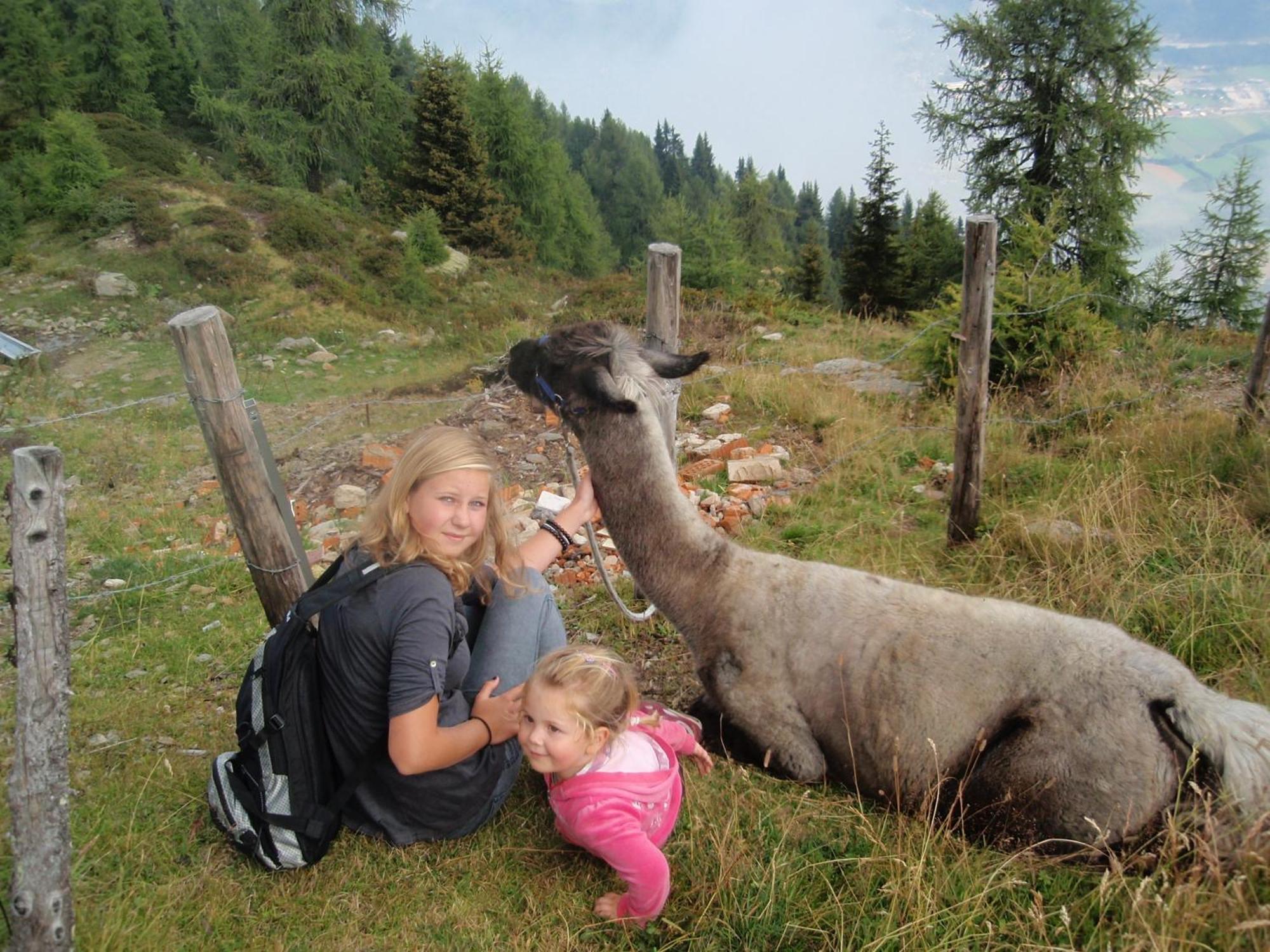 Ferienwohnungen Fischerhaus - Direkt Am See มิลชตัทท์ ภายนอก รูปภาพ