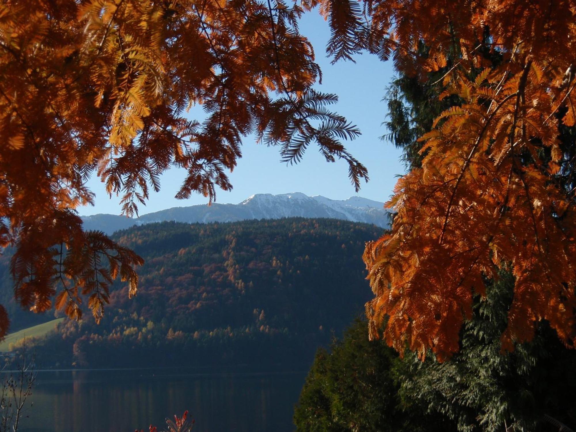 Ferienwohnungen Fischerhaus - Direkt Am See มิลชตัทท์ ภายนอก รูปภาพ